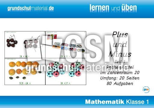 Plus und Minus ZR 20 Teil 1.pdf
